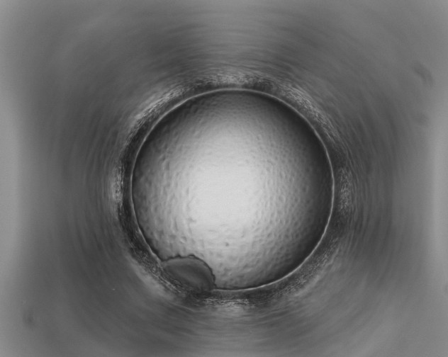 X0000113200683200909171514