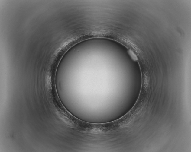 X0000113200684200909171514