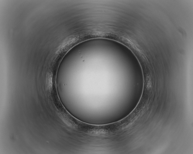 X0000113200685200909171514