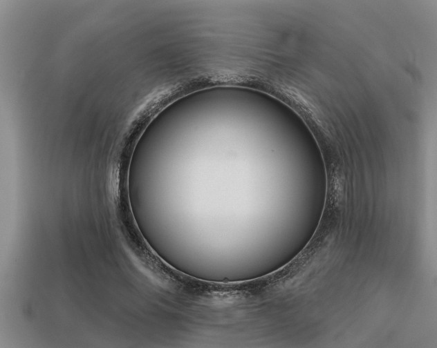 X0000113200686200909171514