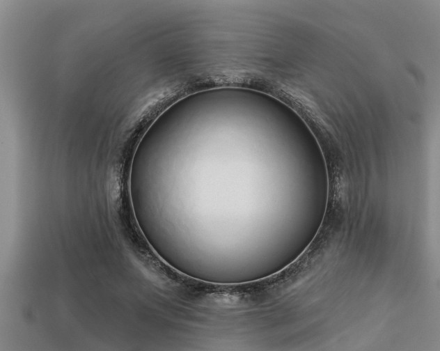 X0000113200687200909171514