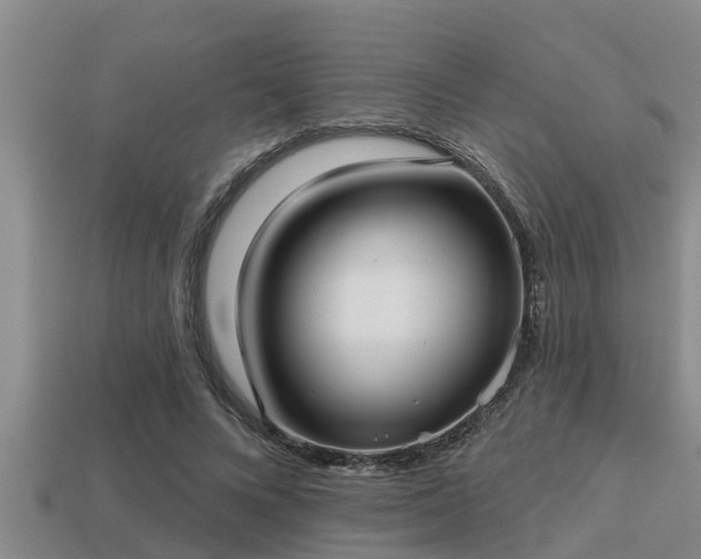 X0000113200688200909171514