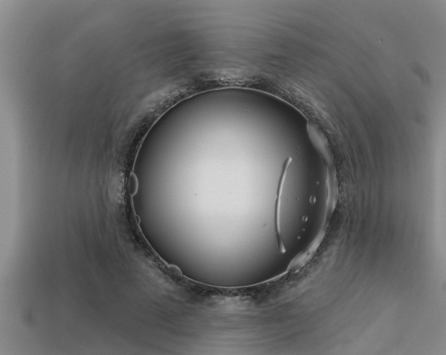 X0000113200689200909171514