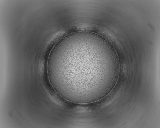 X0000113200690200909171514