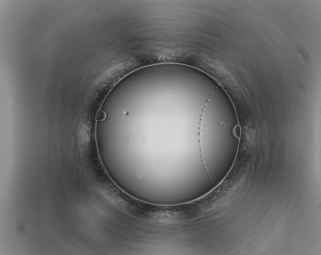 X0000113200691200909171514