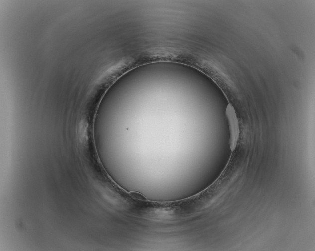 X0000113200692200909171514