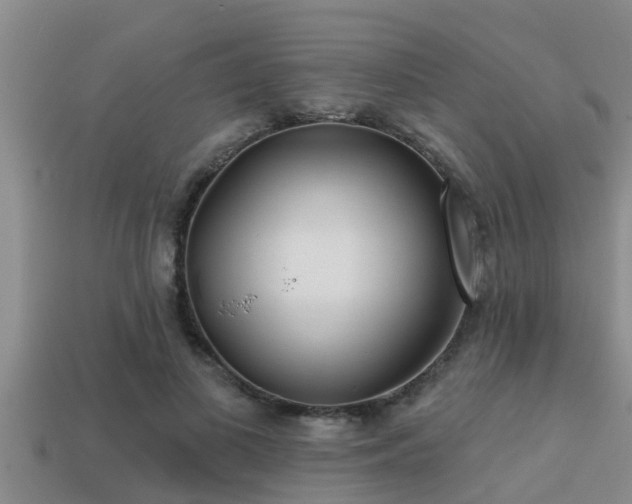 X0000113200693200909171514