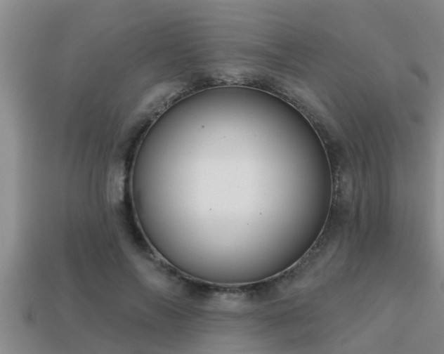 X0000113200694200909171514