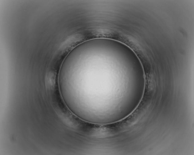 X0000113200695200909171514