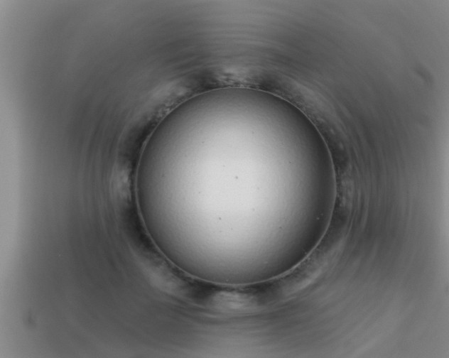 X0000113200699200909171514