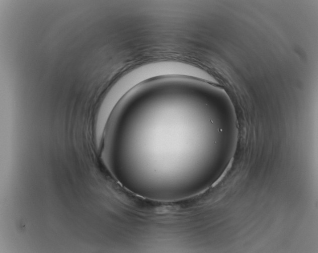 X0000113200700200909171514