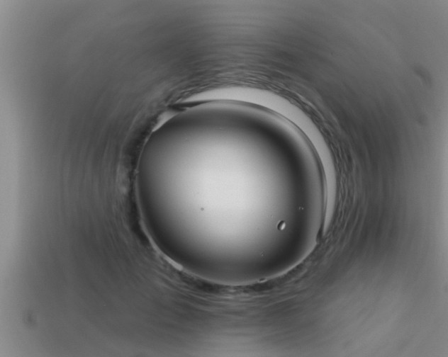 X0000113200701200909171514