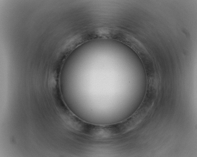 X0000113200702200909171514