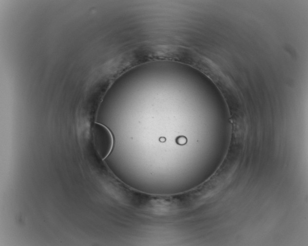 X0000113200703200909171514