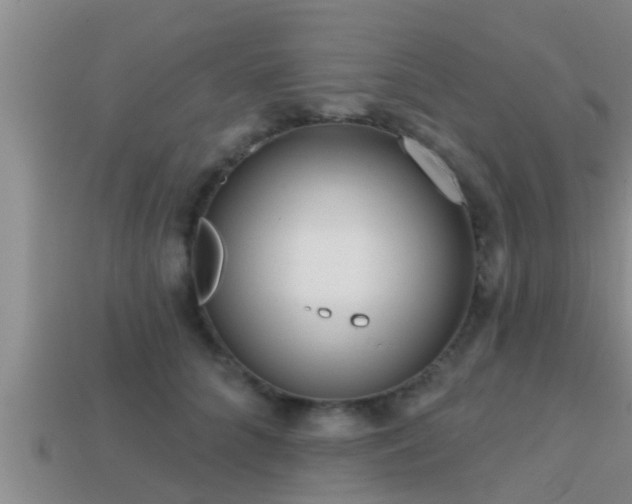 X0000113200704200909171514