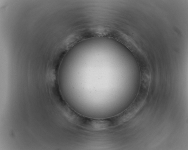 X0000113200707200909171514