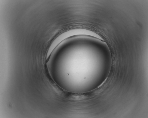 X0000113200712200909171514