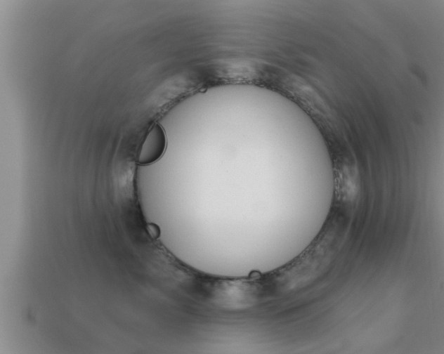 X0000113200717200909171514