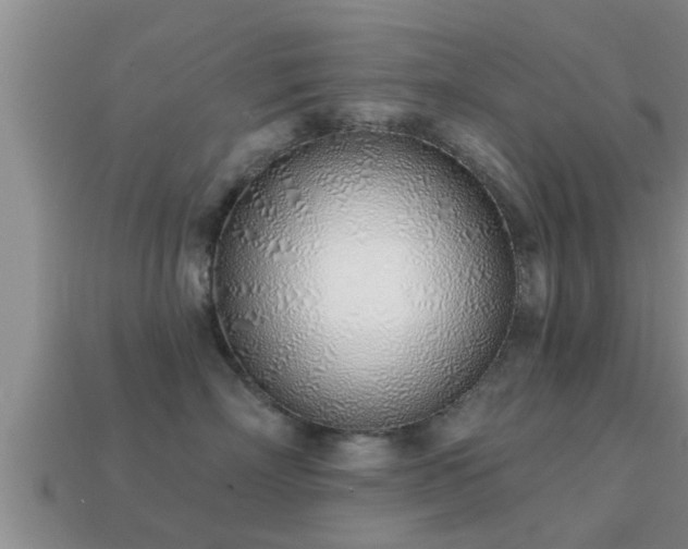 X0000113200718200909171514