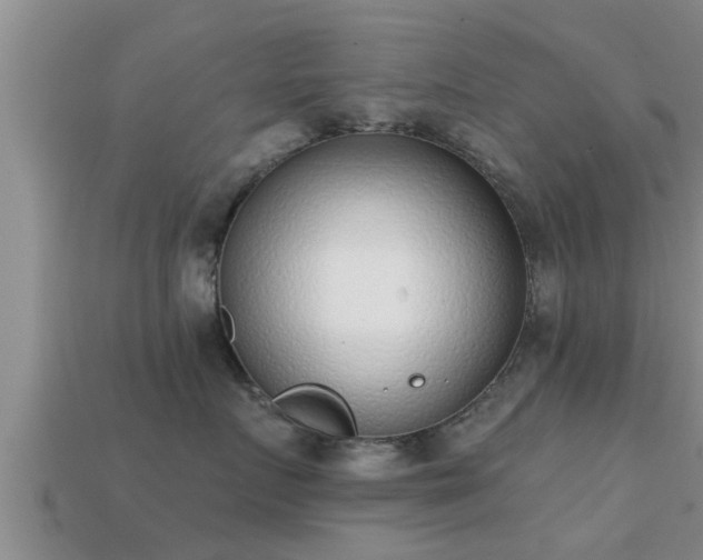 X0000113200719200909171514