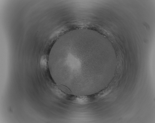 X0000113200720200909171514