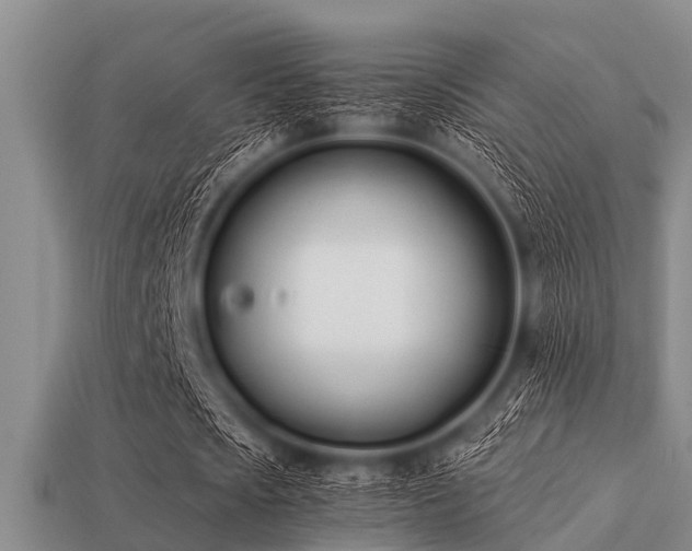 X0000113200721200909171513