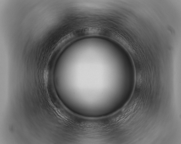 X0000113200722200909171513