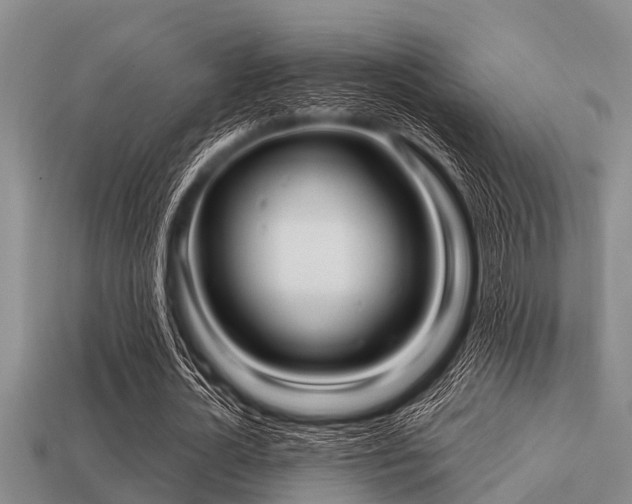 X0000113200724200909171513