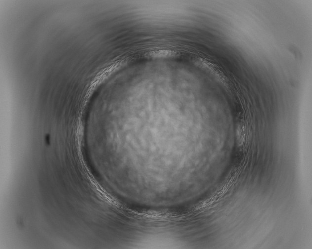 X0000113200725200909171513