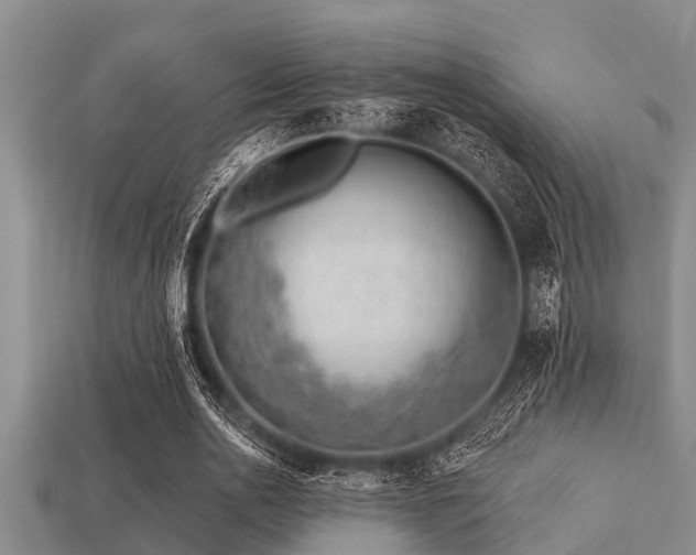 X0000113200726200909171513