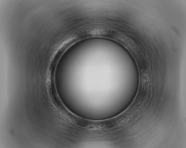 X0000113200727200909171513