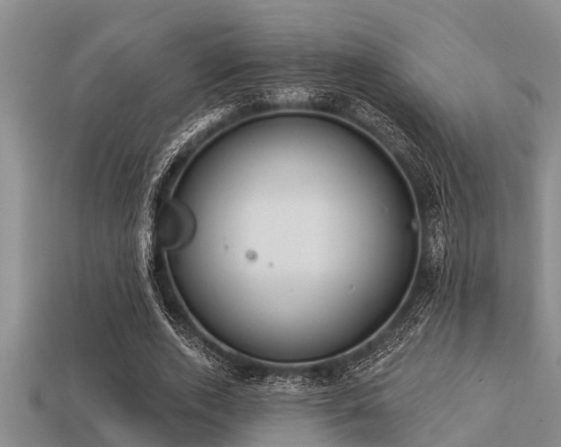 X0000113200728200909171513