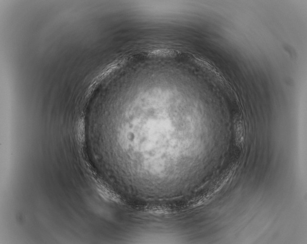 X0000113200729200909171513