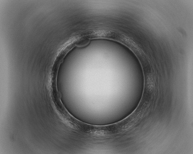 X0000113200730200909171513