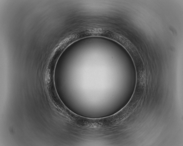 X0000113200731200909171513