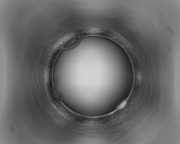 X0000113200732200909171513