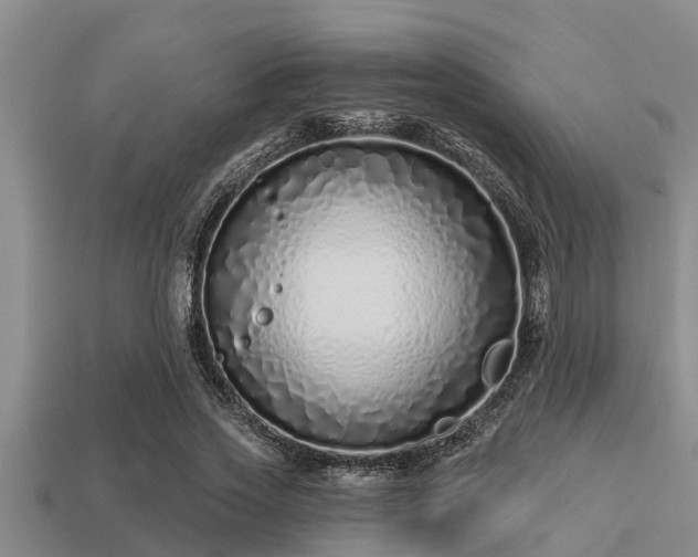 X0000113200733200909171513