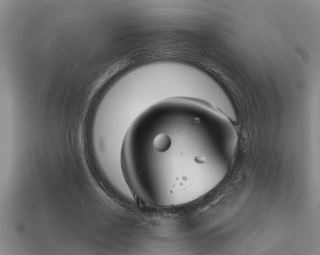 X0000113200734200909171513