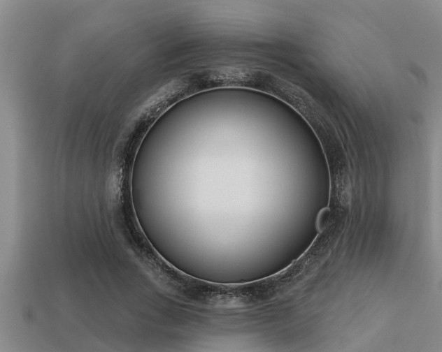 X0000113200735200909171513