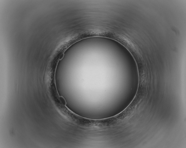 X0000113200736200909171513