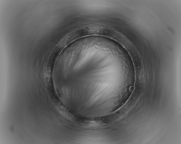 X0000113200737200909171513