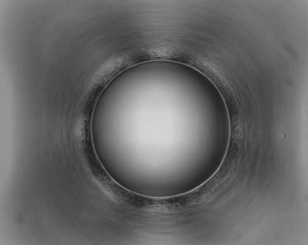 X0000113200738200909171513