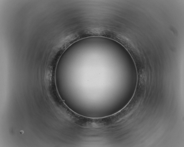 X0000113200739200909171513