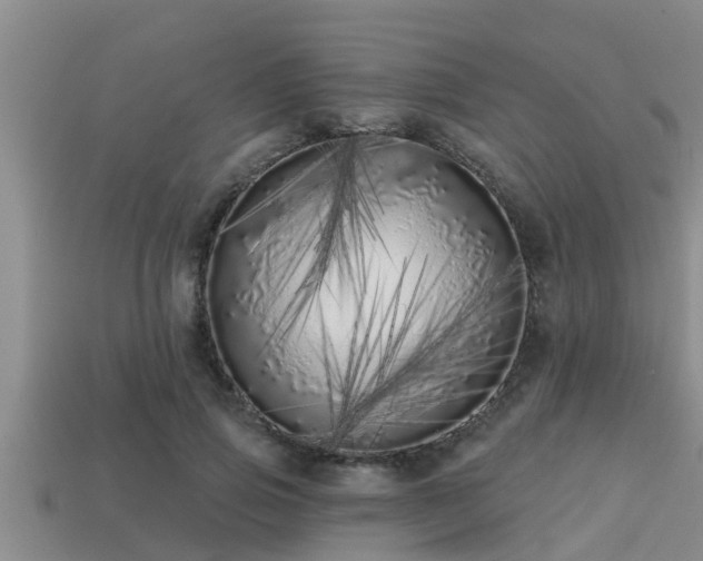 X0000113200741200909171513