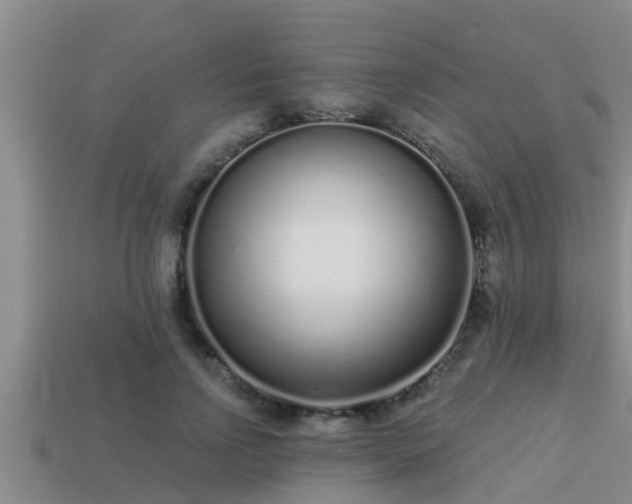 X0000113200742200909171513