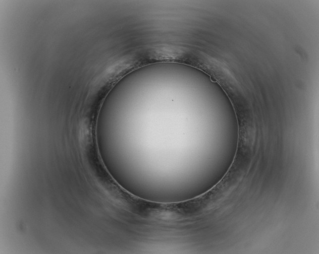 X0000113200743200909171513