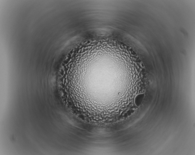 X0000113200745200909171513