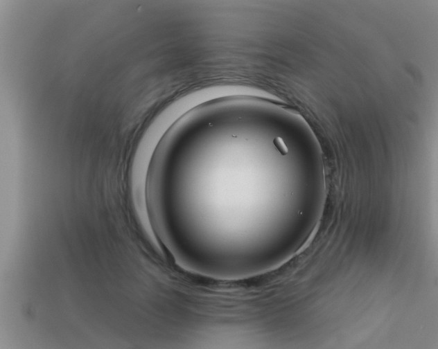 X0000113200746200909171513