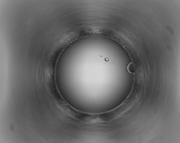 X0000113200747200909171513