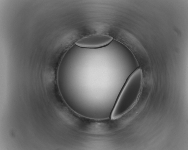 X0000113200748200909171513